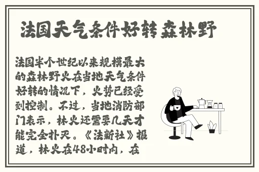 召唤鬼魅的结果是妈妈免费观看